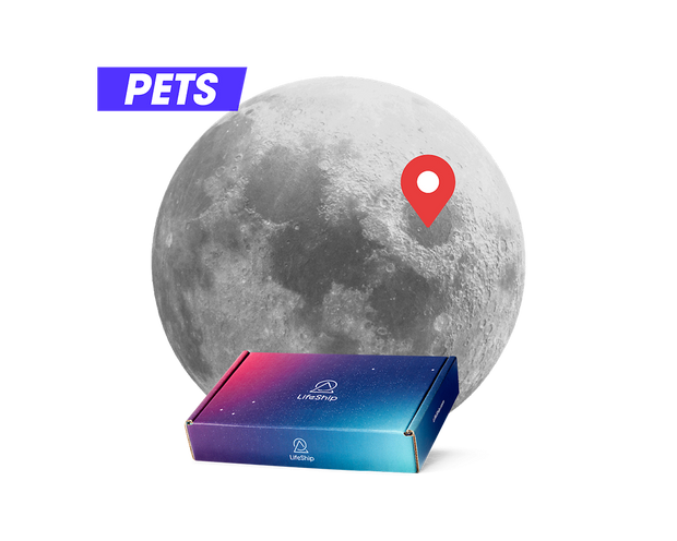 Pet Moon Mission